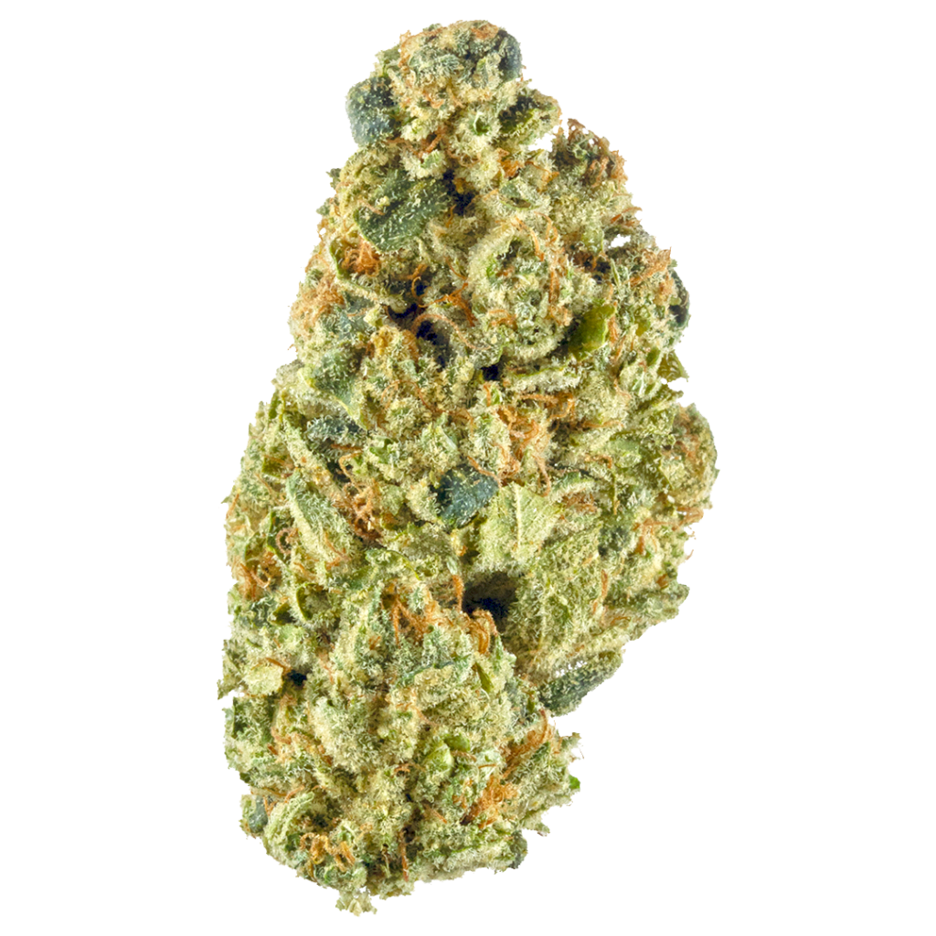 Basic Bud - Headband 3.5g kaufen bei Head & Grow Hub
