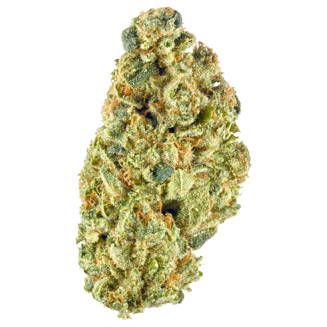 Basic Bud - Headband 3.5g kaufen bei Head & Grow Hub