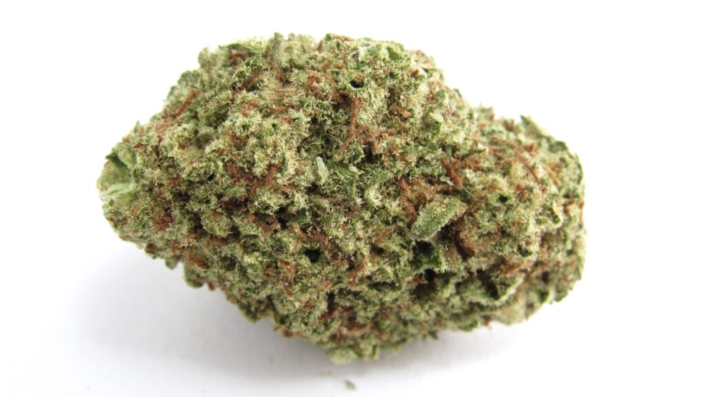 Radicle Herbs - Papaya Punch 28g kaufen bei Head & Grow Hub