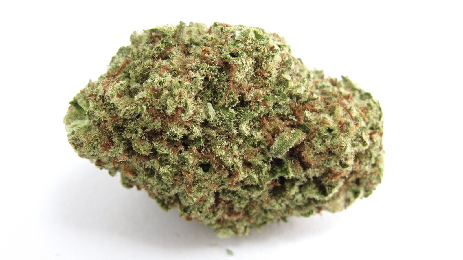 Radicle Herbs - Papaya Punch 28g kaufen bei Head & Grow Hub