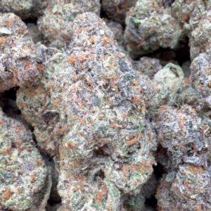 Lemonatti Indoor - Sativa Großhandel - Sativa Hanfblüten in Großmenge