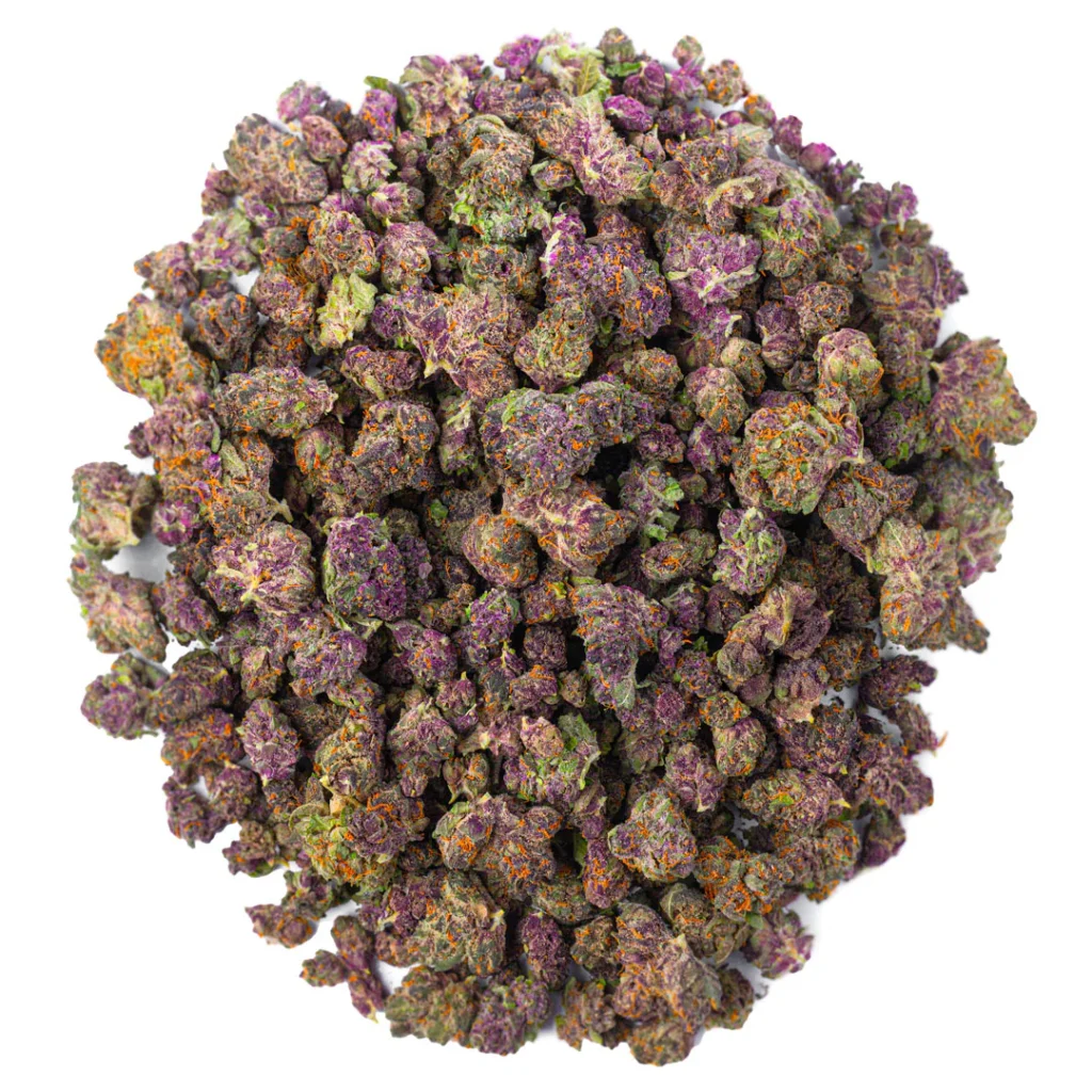 Purple Trainwreck Indoor Smalls Großhandel - Hybrid Hanfblüten in Großmenge