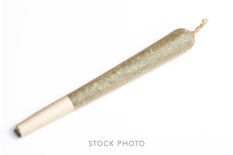 Anthem BOLD | Watermelon Z | 1G Wood Tip Infused Preroll kaufen bei Head & Grow Hub