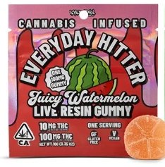 Everyday Hitter- Juicy Watermelon 100mg Gummy kaufen bei Head & Grow Hub