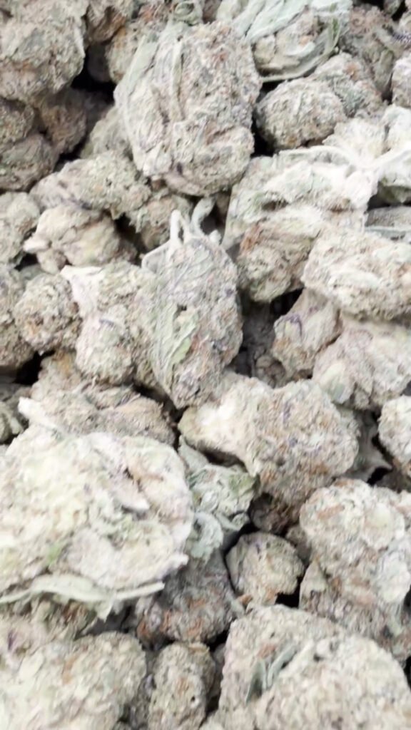 Facetz Mediums - Indica Mediums Großhandel - Indica Hanfblüten in Großmenge