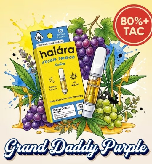 Halara - Granddaddy Purple 1g Live Sauce Cart kaufen bei Head & Grow Hub