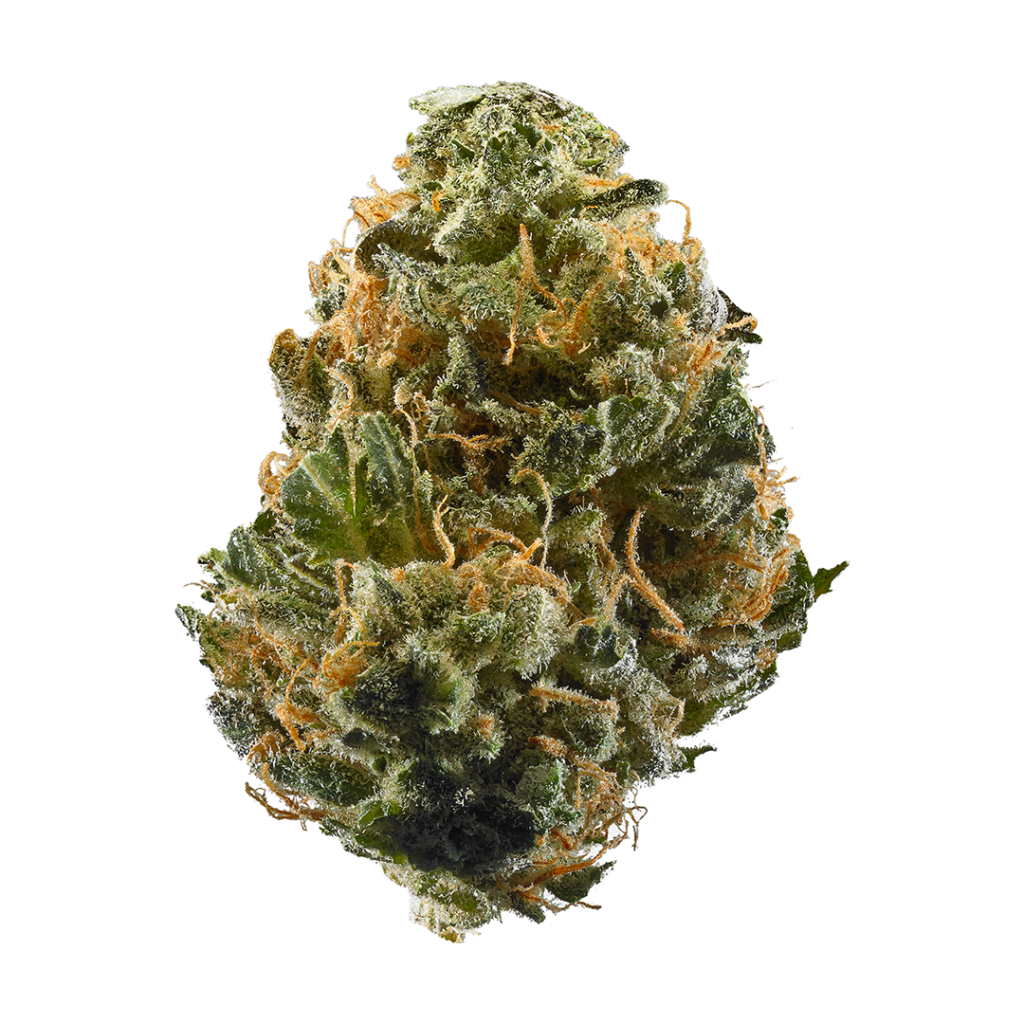 Wildlands-Wildland Haze 28g kaufen bei Head & Grow Hub