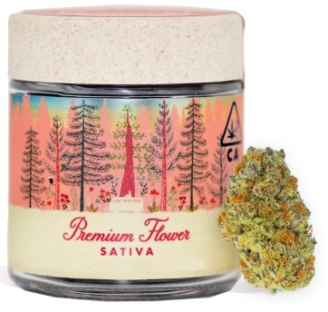 Humfarms - Papaya Bomb 4g kaufen bei Head & Grow Hub