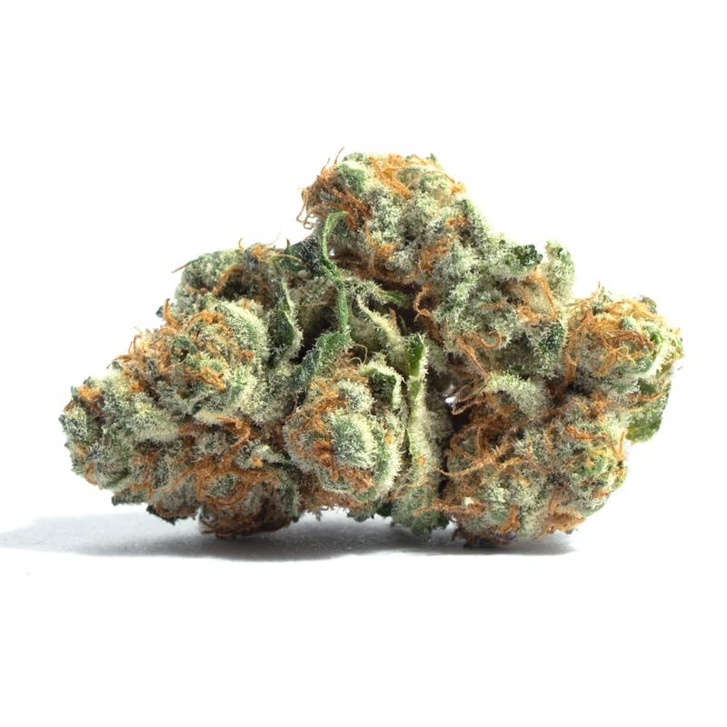 Micro Greenz - Zereal Milk x Runtz 3.5g kaufen bei Head & Grow Hub