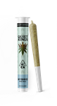 Quiet Kings - Apple Fritter 1g PR kaufen bei Head & Grow Hub