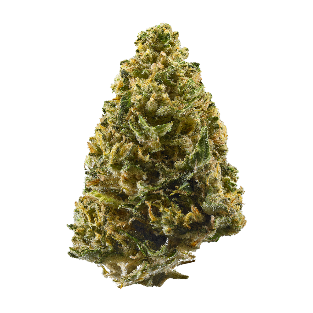 Radicle Herbs - Northern Lights 28g kaufen bei Head & Grow Hub