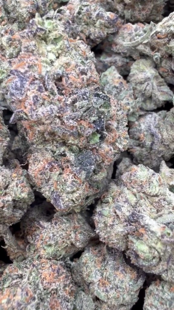 Purple Cookies - Hybrid Großhandel - Hybrid Hanfblüten in Großmenge