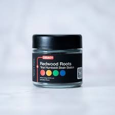 Redwood Roots - Whitethorn Rose Flower 3.5g kaufen bei Head & Grow Hub