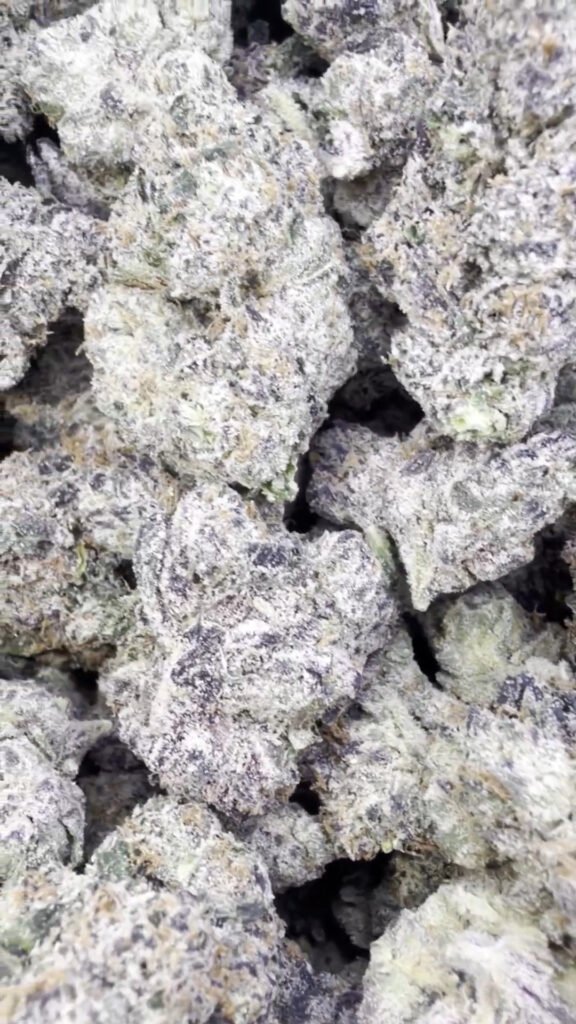 Indoor Exotic White Zkittlez - Hybrid Großhandel - Hybrid Hanfblüten in Großmenge